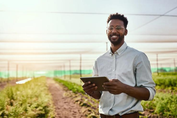 Man in field with crops