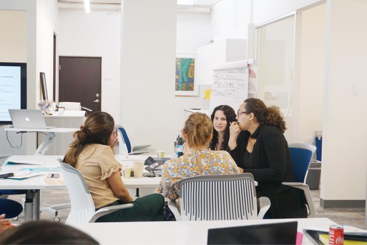 An image of a group of people working at the Puerto Rico trainings