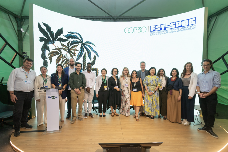 Colleagues stand in a line in front of a projector smiling.