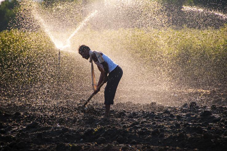 Young Indian farmer digging in the field in front of sprinklers at sunset.