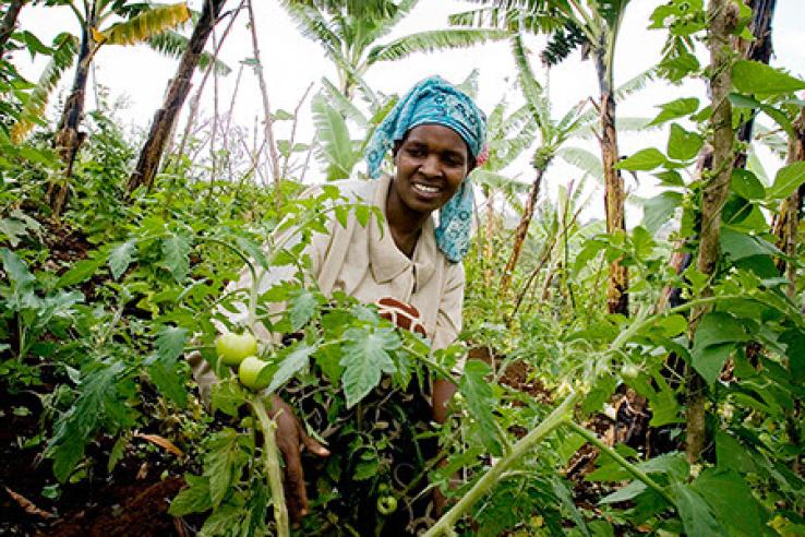Women in fields