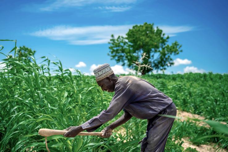 Farmer tending to his field in Tanzania Africa