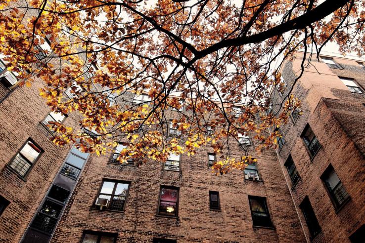 New York City Housing Authority residence