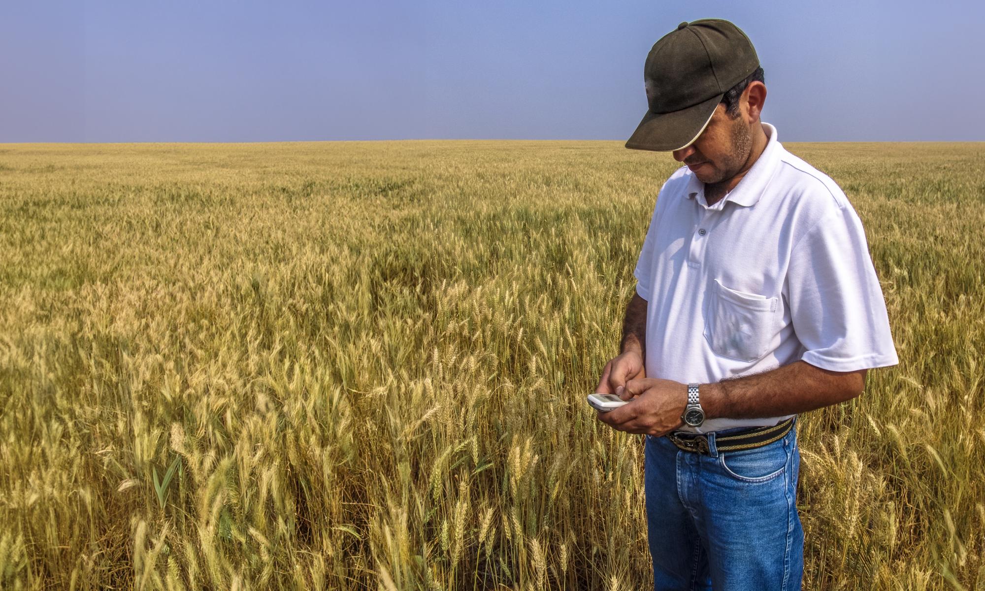 Farmer standing in a field holding a phone