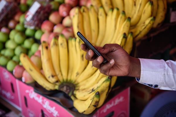 Picture of a person's hand holding a phone in front of a colourful fruit stand.