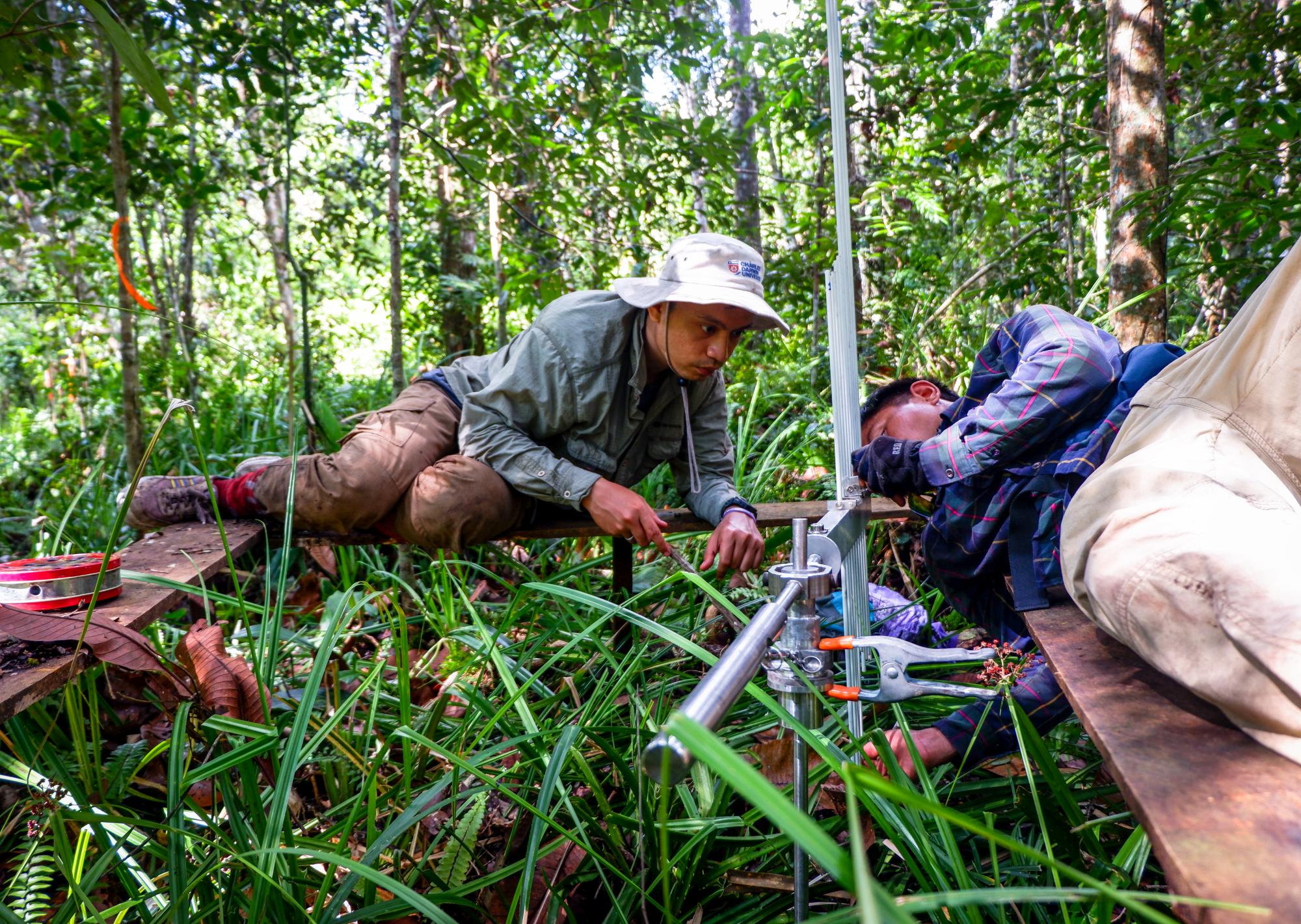 Researchers from monitor carbon in peat swamp