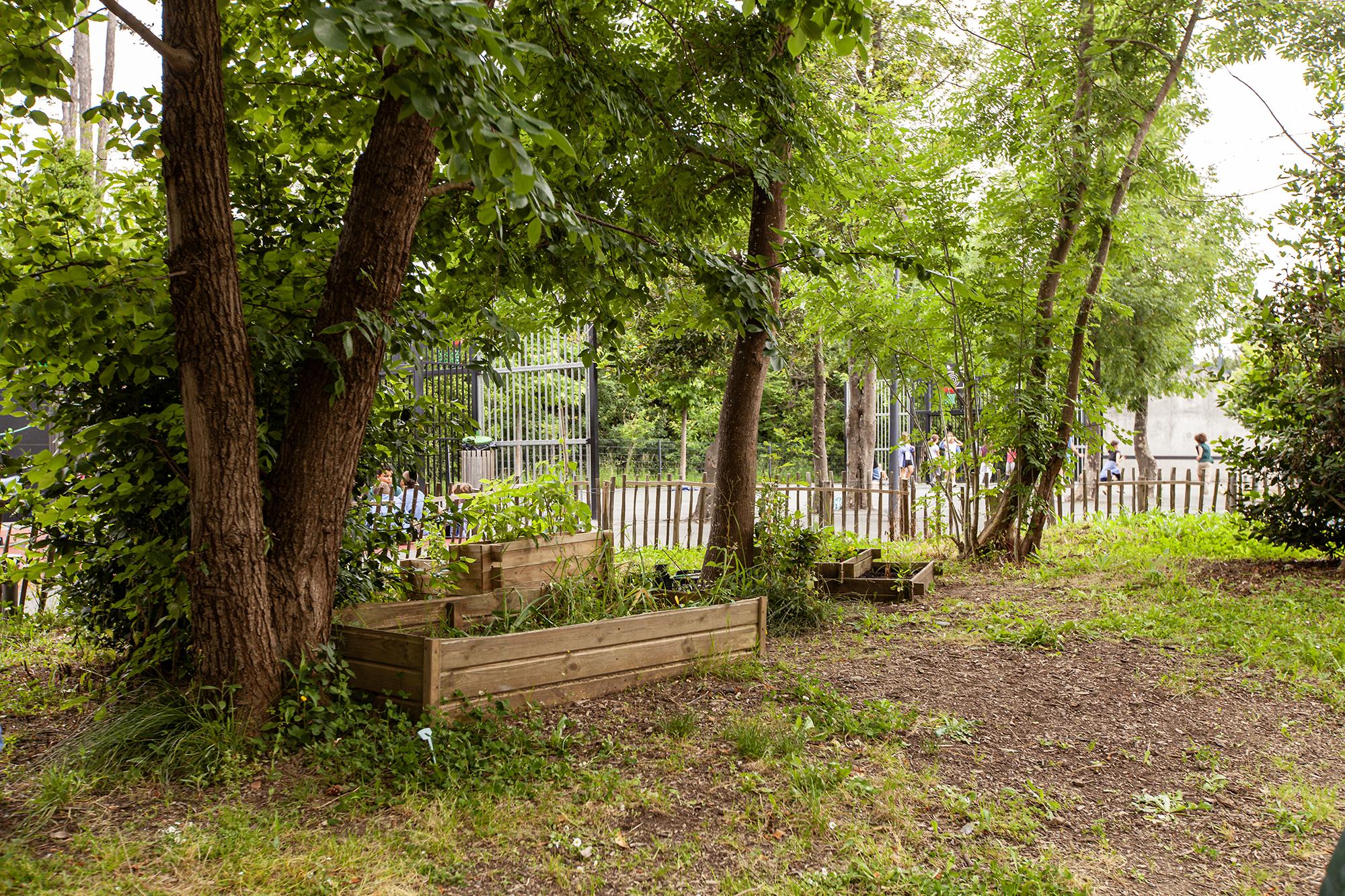 J-PAL Europe WWF IDEE Photo project