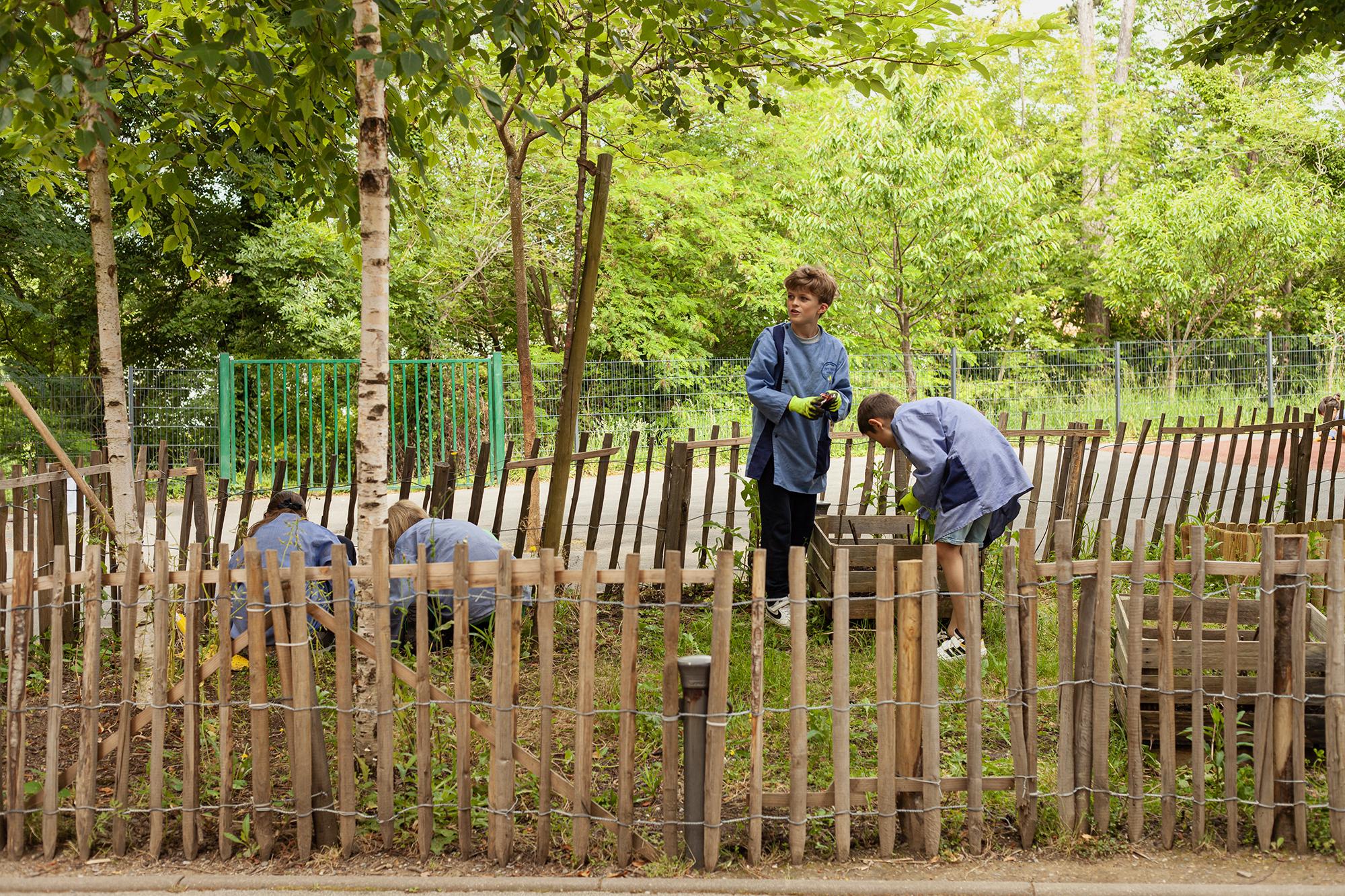 J-PAL Europe WWF IDEE Photo project