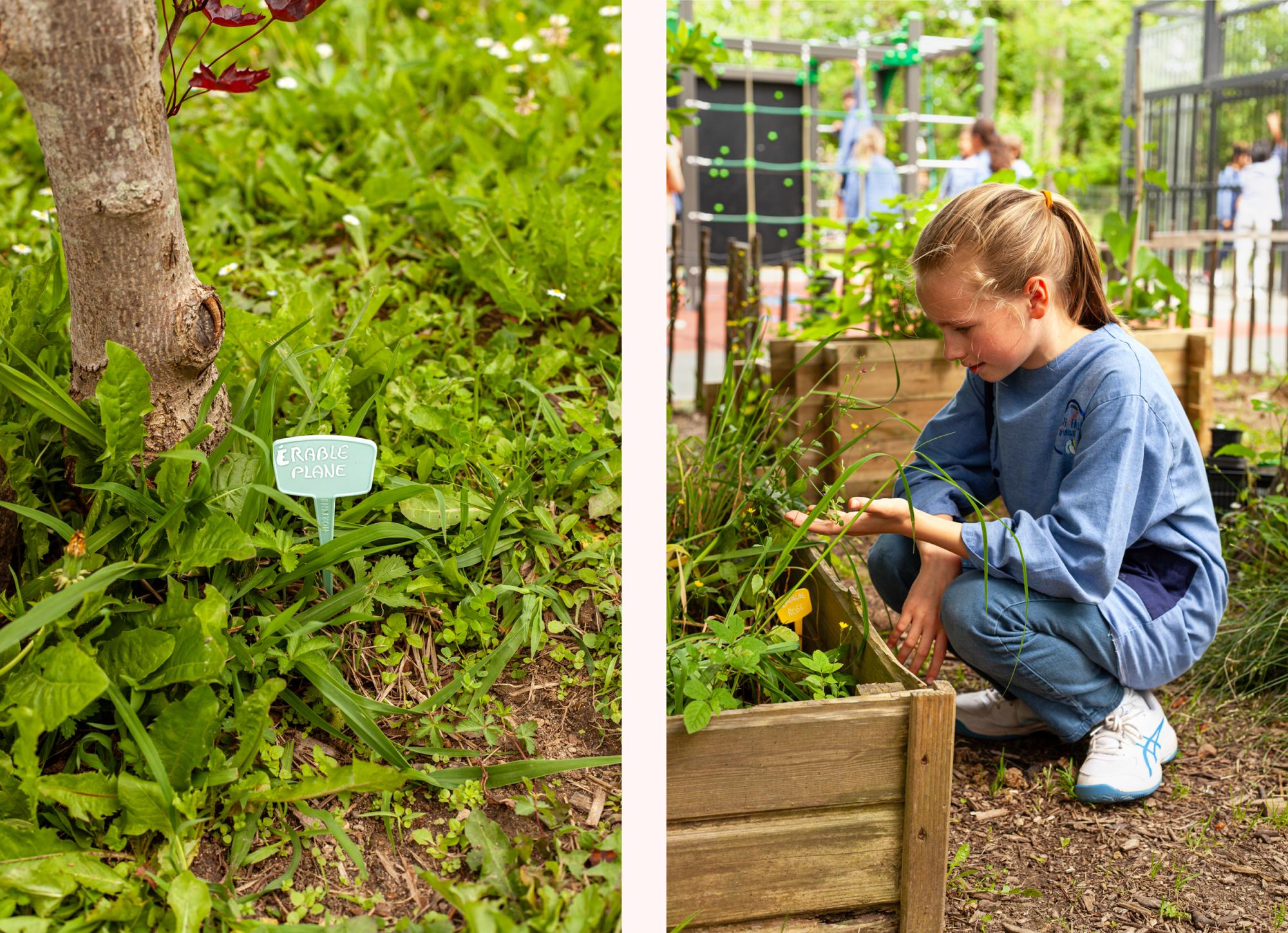 J-PAL Europe WWF IDEE Photo project