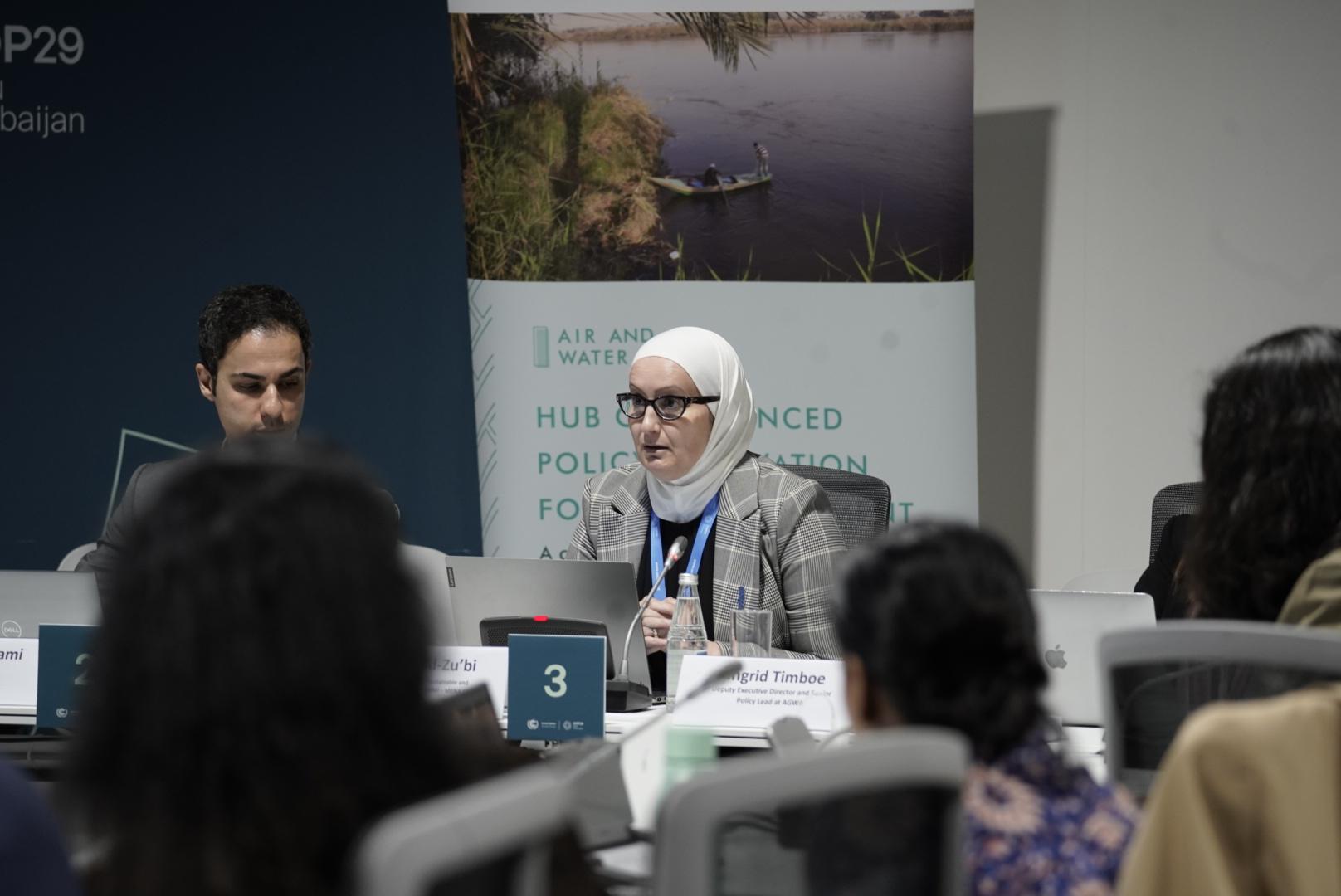 HAPIE event photo of speaker