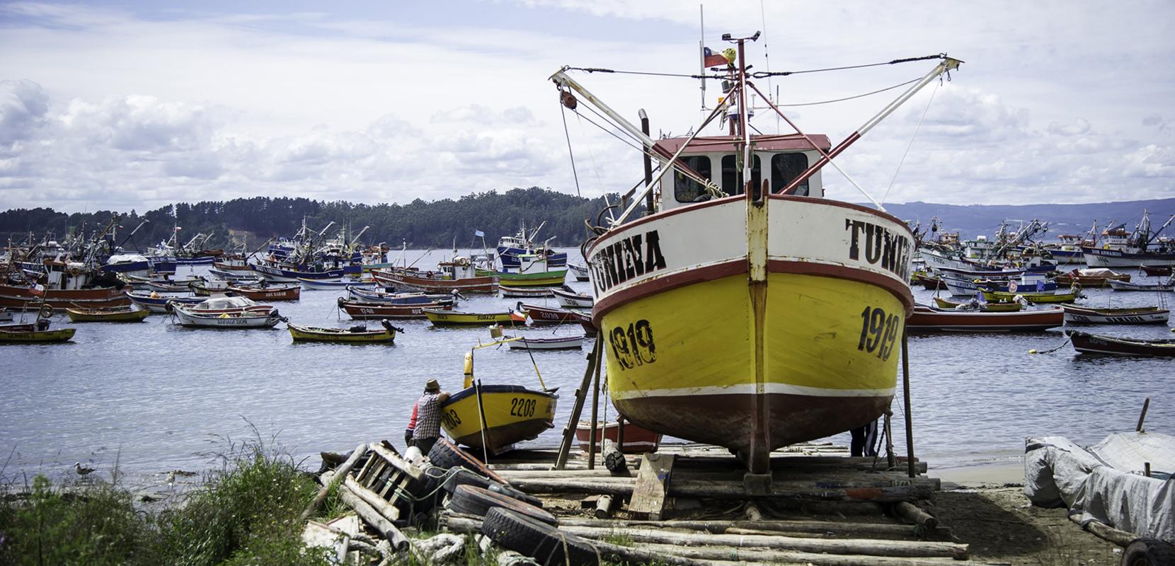Fishing boat in Chile