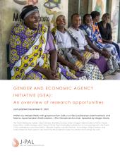 Gender and Economic Agency Initiative (GEA): An overview of research opportunities