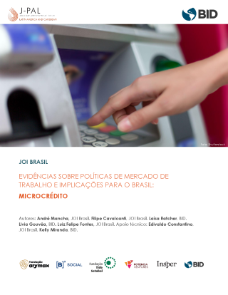 Evidências sobre políticas de mercado de trabalho e implicações para o Brasil: microcrédito