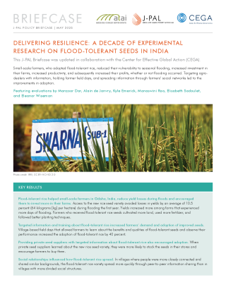 Delivering Resilience: A Decade of Experimental Research on Flood-Tolerant Seeds in India