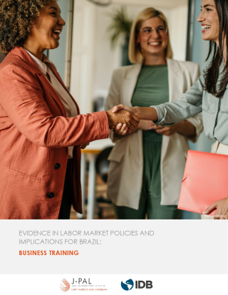 Evidence on Labor Market Policies and Implications for Brazil: Business Training