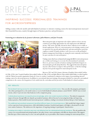 Inspiring Success: Personalized Trainings for Microenterprises