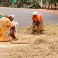 Three women engage in manual labor in India