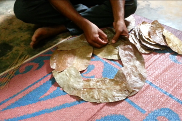 Two hands are seen stitching together leaves to form a plate