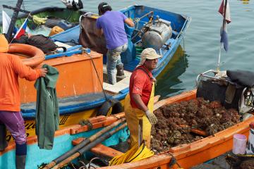 men on boats fishing