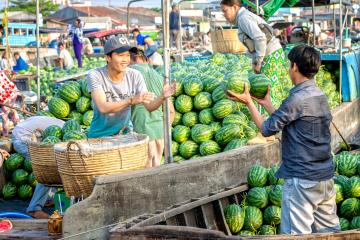 green watermelons being sold in open air market in Vietnam