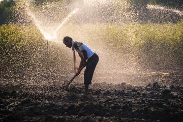 Young Indian farmer digging in the field in front of sprinklers, at sunset