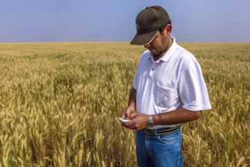 Farmer standing in a field holding a phone